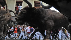 Warum sie mit den Stieren laufen