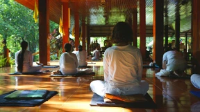 Die zappeligen Affen in unseren Köpfen