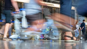 Nur Fliegen ist blöder