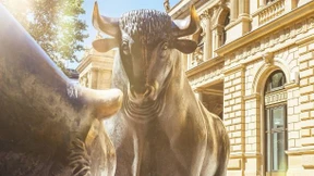 Mit Hilfe der Löwen