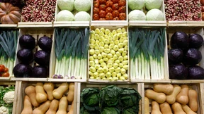 Lebensmittel verteuern sich um 4,8 Prozent