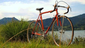 Verändere Dich und sterbe