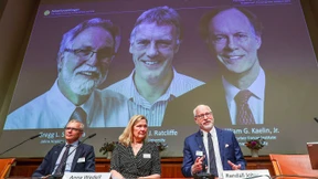 Nobelpreis geht an Zellforscher in Amerika und Großbritannien
