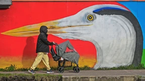 Hilfe, mein Vater ist ein Zaunkönig!