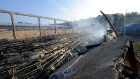 70.000 Hühner verbrannt