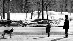 Von Tieren und Menschen