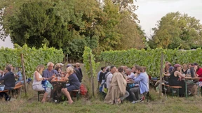 Wenn Winzer zu Reiseveranstaltern werden