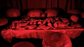 Die Rückverwandlung