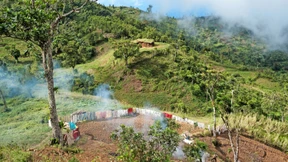 Ein fast verlorenes Paradies