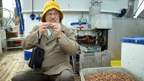 Hofft dieser Film auf die Boomer als Zielgruppe?