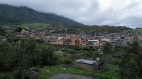 „Das sind ganz unterschiedliche Bestien“