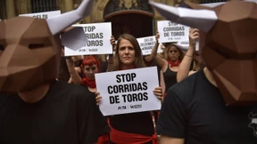 Stierhatz von Pamplona