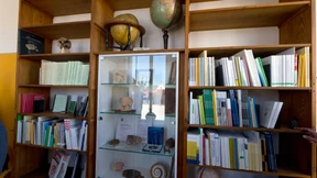 Wenn Tausende Bücher umziehen