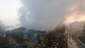 14 Pferde sterben bei Großbrand auf Reiterhof