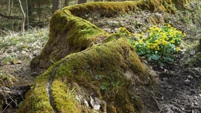 Es gibt kein Dazwischen