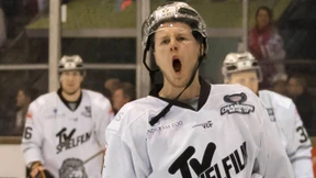 Löwen im Glück in Kassel