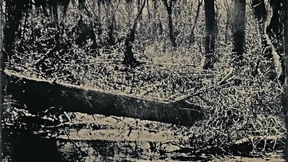 Shortlist der Katastrophen