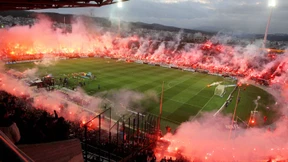 Strafe für Bengalos und Anchovis