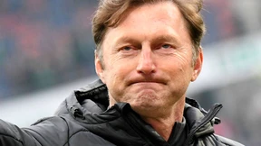 „Eine kleine Hütte für den Hasen“