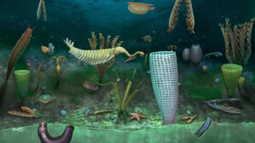 Ein neues Pompeji des Erdaltertums