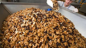 Rosinen statt Nüsse