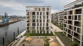 Unverdrossene Prognostiker