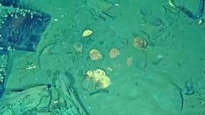 Ein Schatz im Wert von 17 Milliarden Dollar