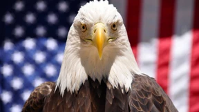 Einheit aus Vielfalt – gilt das noch?