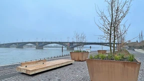 Mainzer Idyll trotz Hochwassers