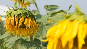 Der letzte Tag vor dem großen Donner