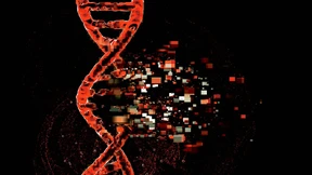 Es wird voll im Genpool der Pandemie