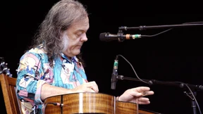 Der Backenbart des Saitennerds