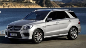 Dampfhammer und Schluckspecht