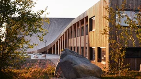 Haut, Horn und Fleisch