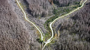 Wie der Klimawandel Deutschland trifft