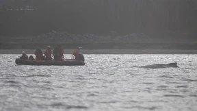 Fragwürdige Rettungsversuche