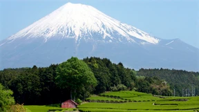 Japan kämpft um Afrika