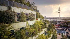 Wo grün ist, ist oben