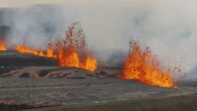 Lava sprudelt aus Erdspalte in Island
