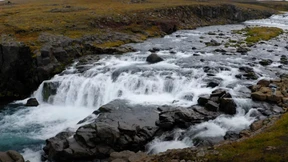In jedem Menschen steckt ein innerer Wodwo