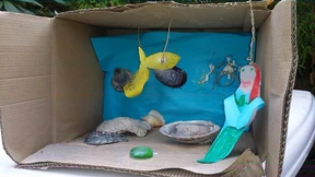 Ehret die Muscheln, hortet die Bilder!