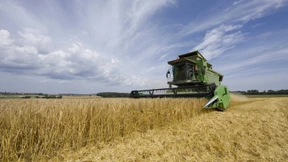 Was Nahrungsmittel kosten