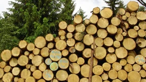 Das Buzzword Nachhaltigkeit