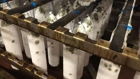 Wie sich die Wirtschaft selbst kontrolliert