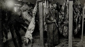 Schweinezucht im Kriegssozialismus