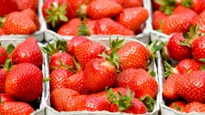 Rendite der Lebensversicherer im freien Fall