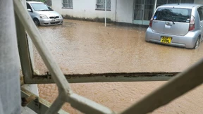 Pole, pole - wird schon werden