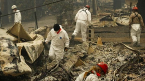 Forensiker suchen mehr als 220 Vermisste