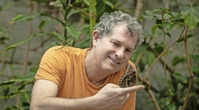 Die Wunder des Gestaltwandels