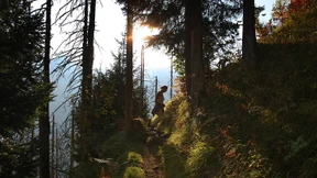 Wie ich einmal im Wald badete